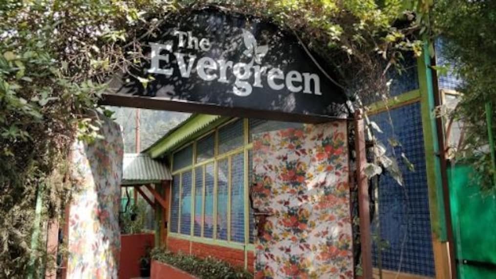 Cafe Evergreen_4